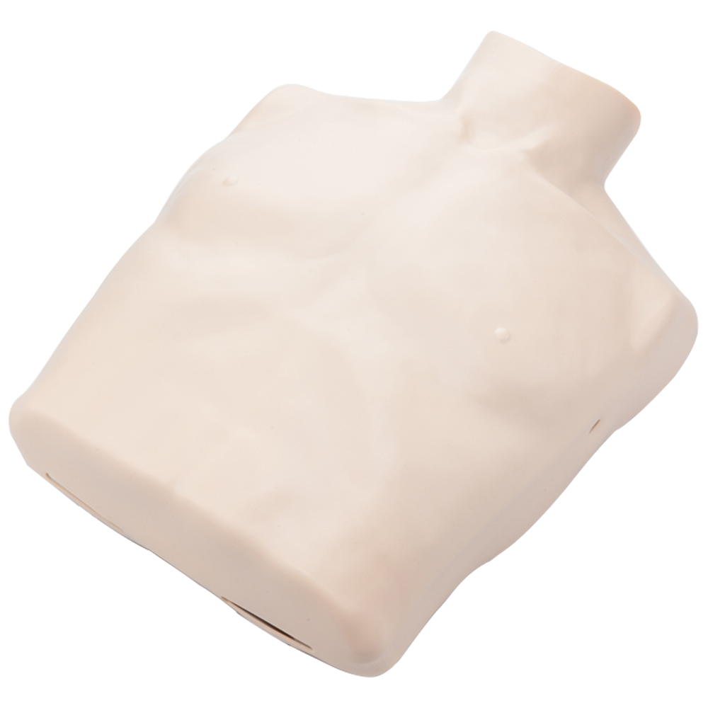 BRAYDEN Manikin Body Skin - Adult - Promed Supplies Pty Ltd